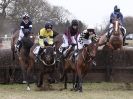 Image 32 in HIGHAM POINT 2 POINT. FROM THE MAIN RACES.