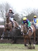 Image 7 in HIGHAM  POINT 2 POINT. FROM THE MAIN RACES.