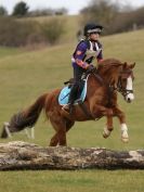 Image 13 in NORTH NORFOLK HARRIERS HUNTER TRIAL 22 MAR. 2015. CLEAR ROUND. CLASS1 AND CLASS 2