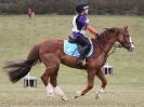 Image 15 in NORTH NORFOLK HARRIERS HUNTER TRIAL 22 MAR. 2015. CLEAR ROUND. CLASS1 AND CLASS 2