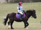 Image 26 in NORTH NORFOLK HARRIERS HUNTER TRIAL 22 MAR. 2015. CLEAR ROUND. CLASS1 AND CLASS 2