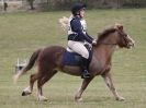 Image 29 in NORTH NORFOLK HARRIERS HUNTER TRIAL 22 MAR. 2015. CLEAR ROUND. CLASS1 AND CLASS 2