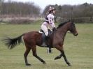 Image 31 in NORTH NORFOLK HARRIERS HUNTER TRIAL  22 MAR. 2015.  CLEAR ROUND. CLASS1  AND  CLASS 2