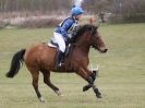 Image 35 in NORTH NORFOLK HARRIERS HUNTER TRIAL 22 MAR. 2015. CLEAR ROUND. CLASS1 AND CLASS 2