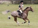 Image 41 in NORTH NORFOLK HARRIERS HUNTER TRIAL  22 MAR. 2015.  CLEAR ROUND. CLASS1  AND  CLASS 2