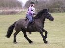 Image 43 in NORTH NORFOLK HARRIERS HUNTER TRIAL 22 MAR. 2015. CLEAR ROUND. CLASS1 AND CLASS 2