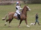 Image 48 in NORTH NORFOLK HARRIERS HUNTER TRIAL  22 MAR. 2015.  CLEAR ROUND. CLASS1  AND  CLASS 2