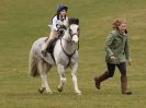 Image 5 in NORTH NORFOLK HARRIERS HUNTER TRIAL 22 MAR. 2015. CLEAR ROUND. CLASS1 AND CLASS 2