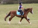 Image 58 in NORTH NORFOLK HARRIERS HUNTER TRIAL 22 MAR. 2015. CLEAR ROUND. CLASS1 AND CLASS 2