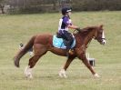 Image 58 in NORTH NORFOLK HARRIERS HUNTER TRIAL  22 MAR. 2015.  CLEAR ROUND. CLASS1  AND  CLASS 2