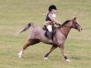 Image 68 in NORTH NORFOLK HARRIERS HUNTER TRIAL 22 MAR. 2015. CLEAR ROUND. CLASS1 AND CLASS 2