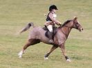 Image 68 in NORTH NORFOLK HARRIERS HUNTER TRIAL  22 MAR. 2015.  CLEAR ROUND. CLASS1  AND  CLASS 2