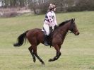Image 71 in NORTH NORFOLK HARRIERS HUNTER TRIAL 22 MAR. 2015. CLEAR ROUND. CLASS1 AND CLASS 2