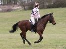 Image 71 in NORTH NORFOLK HARRIERS HUNTER TRIAL  22 MAR. 2015.  CLEAR ROUND. CLASS1  AND  CLASS 2