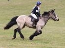 Image 75 in NORTH NORFOLK HARRIERS HUNTER TRIAL 22 MAR. 2015. CLEAR ROUND. CLASS1 AND CLASS 2