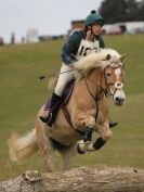 NORTH NORFOLK HARRIERS HUNTER TRIAL.  22 MARCH 2015.  ALL OTHER CLASSES.