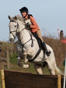 Image 108 in NORTH NORFOLK HARRIERS HUNTER TRIAL.  22 MARCH 2015.  ALL OTHER CLASSES.