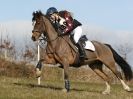 Image 109 in NORTH NORFOLK HARRIERS HUNTER TRIAL.  22 MARCH 2015.  ALL OTHER CLASSES.