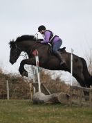 Image 11 in NORTH NORFOLK HARRIERS HUNTER TRIAL.  22 MARCH 2015.  ALL OTHER CLASSES.