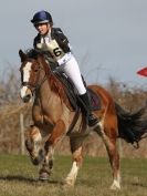 Image 115 in NORTH NORFOLK HARRIERS HUNTER TRIAL. 22 MARCH 2015. ALL OTHER CLASSES.