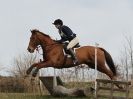 Image 17 in NORTH NORFOLK HARRIERS HUNTER TRIAL. 22 MARCH 2015. ALL OTHER CLASSES.