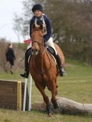 Image 19 in NORTH NORFOLK HARRIERS HUNTER TRIAL. 22 MARCH 2015. ALL OTHER CLASSES.