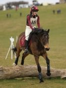 Image 2 in NORTH NORFOLK HARRIERS HUNTER TRIAL.  22 MARCH 2015.  ALL OTHER CLASSES.