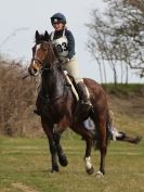 Image 32 in NORTH NORFOLK HARRIERS HUNTER TRIAL. 22 MARCH 2015. ALL OTHER CLASSES.