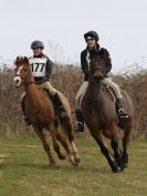 Image 37 in NORTH NORFOLK HARRIERS HUNTER TRIAL.  22 MARCH 2015.  ALL OTHER CLASSES.