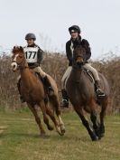Image 37 in NORTH NORFOLK HARRIERS HUNTER TRIAL. 22 MARCH 2015. ALL OTHER CLASSES.