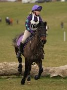 Image 4 in NORTH NORFOLK HARRIERS HUNTER TRIAL. 22 MARCH 2015. ALL OTHER CLASSES.