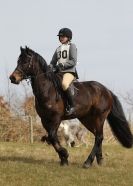 Image 45 in NORTH NORFOLK HARRIERS HUNTER TRIAL. 22 MARCH 2015. ALL OTHER CLASSES.