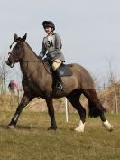 Image 46 in NORTH NORFOLK HARRIERS HUNTER TRIAL. 22 MARCH 2015. ALL OTHER CLASSES.