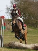 Image 48 in NORTH NORFOLK HARRIERS HUNTER TRIAL. 22 MARCH 2015. ALL OTHER CLASSES.