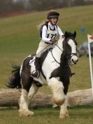 Image 5 in NORTH NORFOLK HARRIERS HUNTER TRIAL. 22 MARCH 2015. ALL OTHER CLASSES.