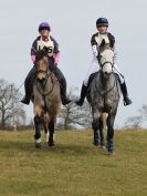 Image 51 in NORTH NORFOLK HARRIERS HUNTER TRIAL. 22 MARCH 2015. ALL OTHER CLASSES.