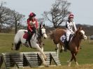 Image 52 in NORTH NORFOLK HARRIERS HUNTER TRIAL.  22 MARCH 2015.  ALL OTHER CLASSES.