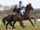 Image 54 in NORTH NORFOLK HARRIERS HUNTER TRIAL. 22 MARCH 2015. ALL OTHER CLASSES.