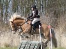 Image 58 in NORTH NORFOLK HARRIERS HUNTER TRIAL. 22 MARCH 2015. ALL OTHER CLASSES.