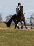 Image 77 in NORTH NORFOLK HARRIERS HUNTER TRIAL.  22 MARCH 2015.  ALL OTHER CLASSES.