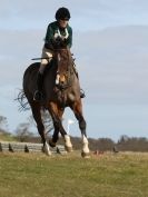 Image 85 in NORTH NORFOLK HARRIERS HUNTER TRIAL. 22 MARCH 2015. ALL OTHER CLASSES.