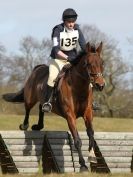 Image 91 in NORTH NORFOLK HARRIERS HUNTER TRIAL. 22 MARCH 2015. ALL OTHER CLASSES.