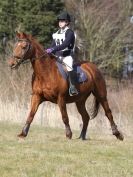 Image 97 in NORTH NORFOLK HARRIERS HUNTER TRIAL.  22 MARCH 2015.  ALL OTHER CLASSES.