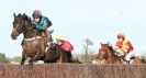 Image 10 in COTTENHAM  POINT TO POINT  25 NOV 2012