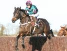 Image 11 in COTTENHAM  POINT TO POINT  25 NOV 2012