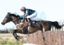 Image 12 in COTTENHAM  POINT TO POINT  25 NOV 2012