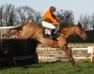 Image 16 in COTTENHAM  POINT TO POINT  25 NOV 2012