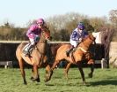 Image 2 in COTTENHAM  POINT TO POINT  25 NOV 2012