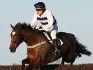 Image 20 in COTTENHAM  POINT TO POINT  25 NOV 2012