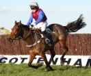 Image 23 in COTTENHAM  POINT TO POINT  25 NOV 2012